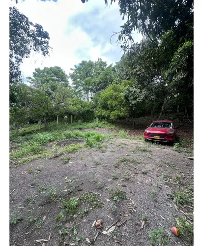 Lote En La Mesa Vereda El Palmar