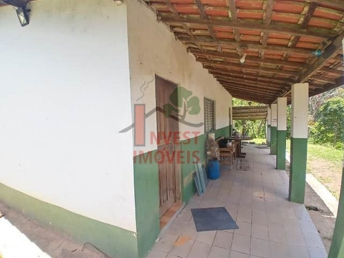 Imagem 2 de 15 de Chacara - Ref: 6534 - V-6534