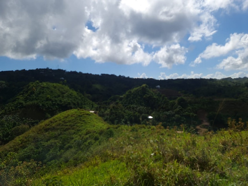 Se Vende Terreno En Las Terrenas