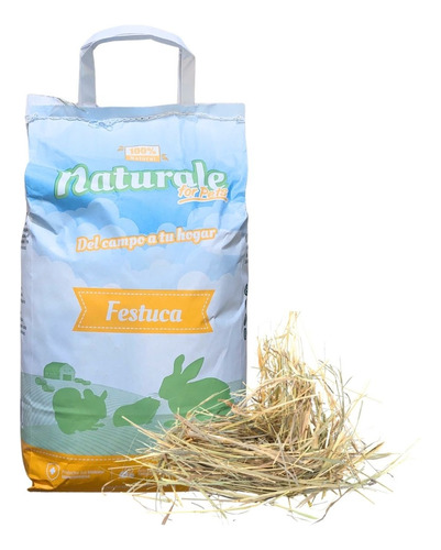 Heno Festuca 600g Naturale Chinchillas Conejos Cobayas/fauna