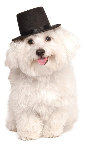 Rubie S Sombrero Copa Para Tu Mascota Pequeño Mediano