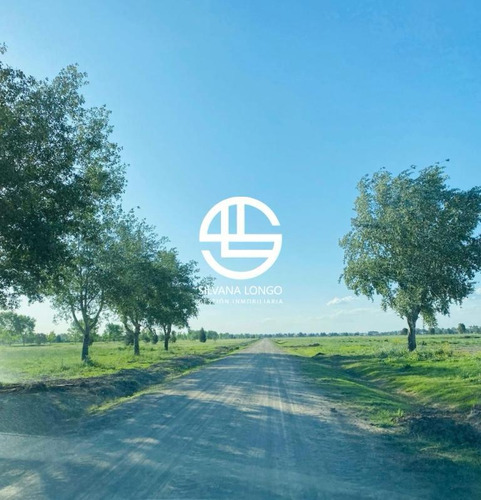 Fincas De San Vicente Premium!! Nuevo Sector