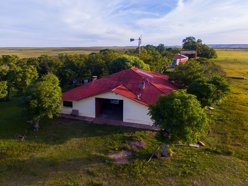 Campo En Venta En Salto Ref. 8771 (ref: Cbr-959)