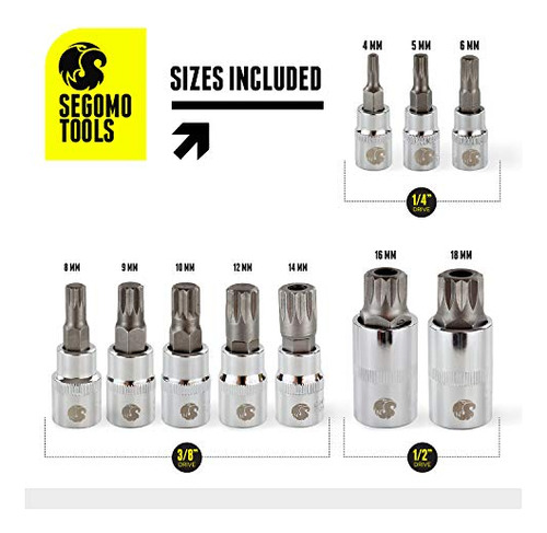 Segomo Tools - Juego De 10 Piezas De Puntas De Triple Cuadr