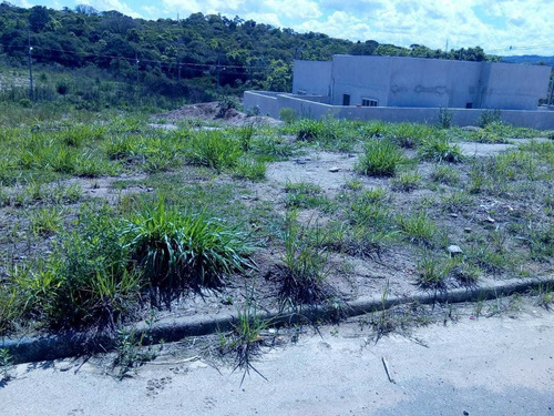 Imagem 3 de 7 de Lote Urbano De 250-m^2