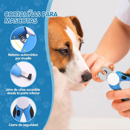 Cepillo Para Perro Traje, 5 Pcs Cepillo Para Mascotas,