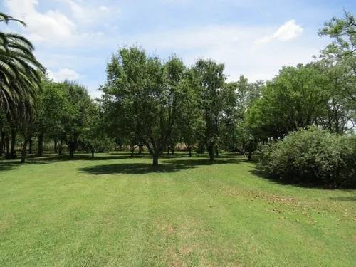 Imagen 12 de 14 de Campo En Venta - Loma Verde