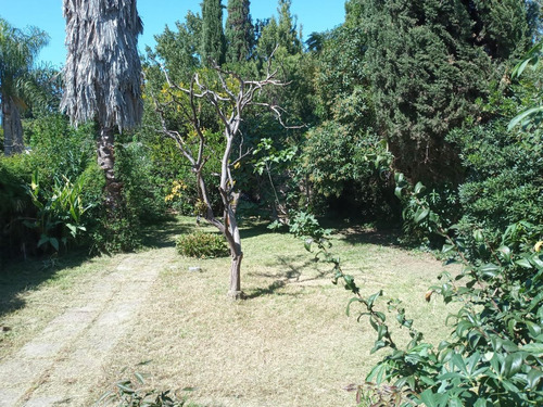Imagen 5 de 12 de Casa Con Lote De 10 X 55, Ideal Para Construcción De Vivienda Multifamiliar