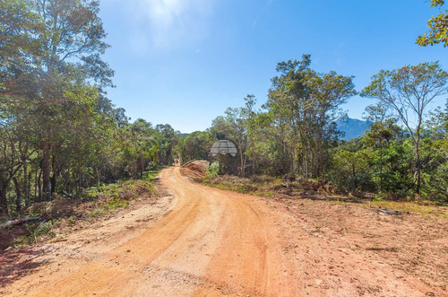 Imagem 3 de 18 de Chácara - Residencial - 936650