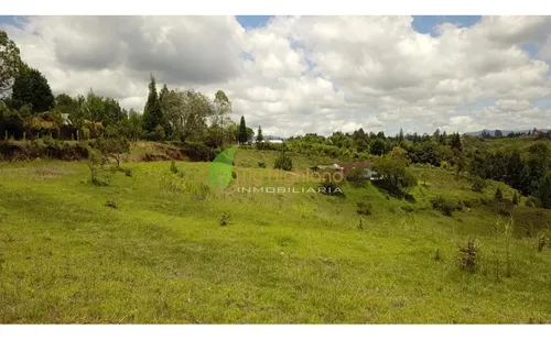 Constructoras Gran Oportunidad Lote 109.314 M² Valor Por Metro2