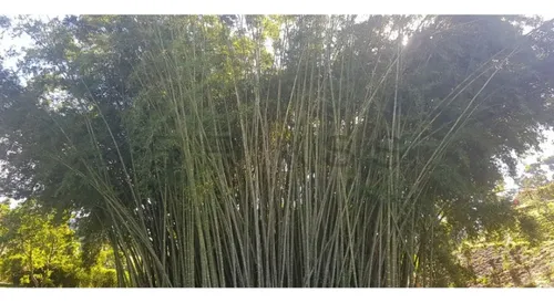 L-263 (venta Lote, Sector Rionegro)