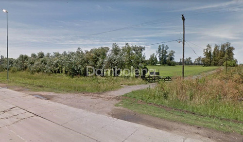 Imagen 5 de 28 de Terreno En Venta O Permuta Ubicado En General Rodríguez, General Rodríguez