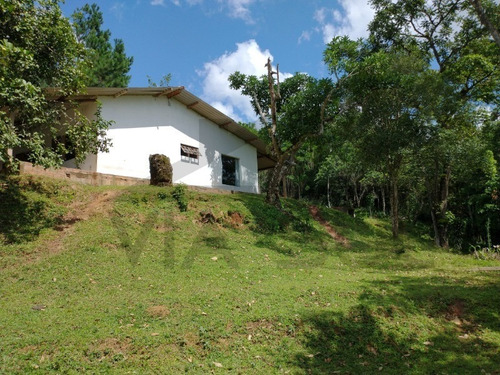 Imagem 13 de 30 de Sítio De 3,5 Alqueires, Excelente Localização! Com Área Aberta Para Criação Recreativa E Mata Nativa Para Trilha E Caminhada.. - 237 - 69821549