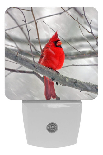 Cardinal In Winter Night Lights Plug Wall Decorativo To