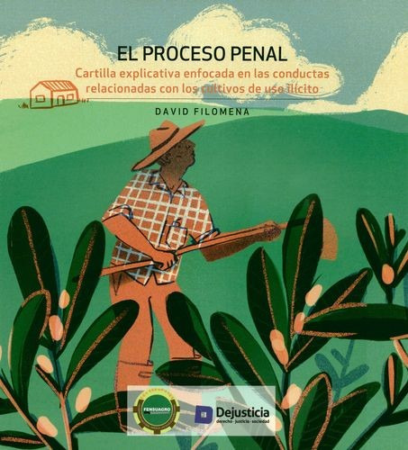 Libro Proceso Penal. Cartilla Explicativa Enfocada En Las C