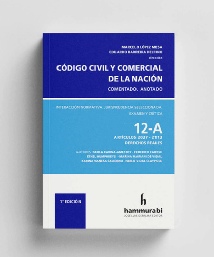 López Mesa Código Civil Y Comercial 12 A Reales 