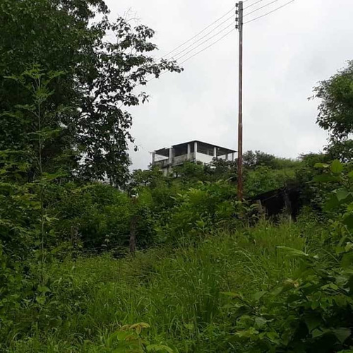 Imagen 18 de 20 de Finca Productiva Para Cria De Porcinos En Parapara De Ortiz