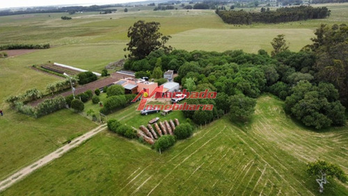 Imagen 1 de 29 de Chacra En Venta