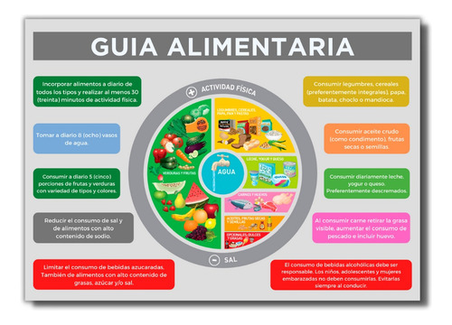 Infografía - Plato Saludable Guías Alimentarias Gapa 