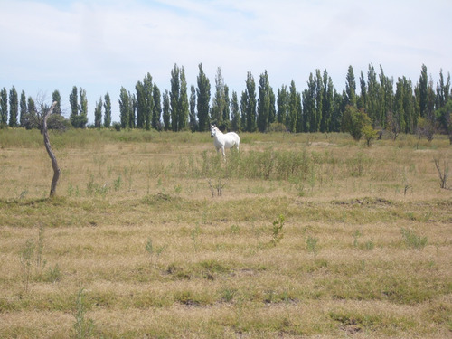 Imagen 2 de 8 de Surmendoza La Montilla1 Dueño Vende Lindo Y Amplio Terreno Rural 2100m2