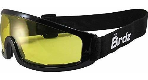 Gafas Motos Birdz Robin Sport Skydiving Snowboarding Motocic