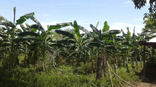 Imagen 14 de 14 de Productiva Finca En Elorza Apure, Acepta Criptomoneda