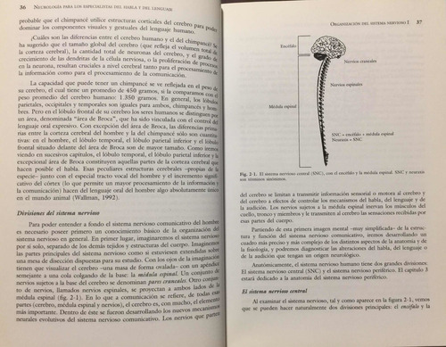 Neurología Del Habla Y Del Lenguaje. R Love. Neurociencia