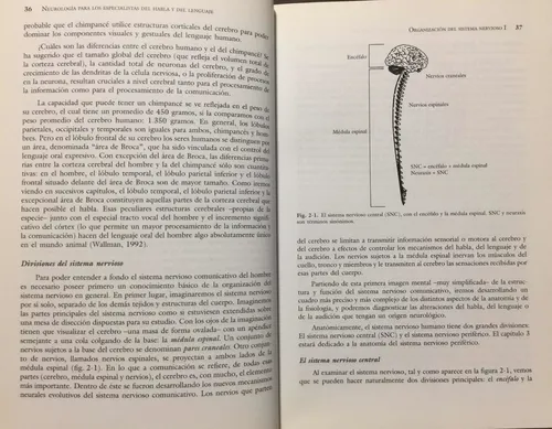 Neurología Del Habla Y Del Lenguaje. R Love. Neurociencia
