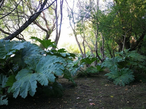 Condominio A Solo 5 Km Del Centro De Pucon