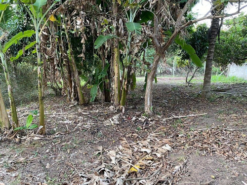 Imagem 14 de 14 de Terreno - Te00022 - 68225325