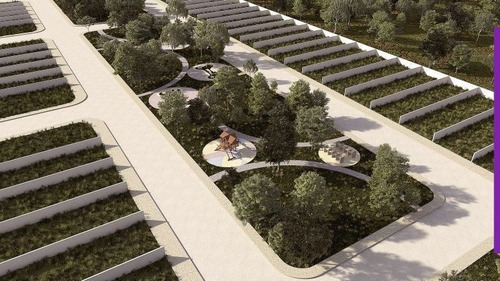 Imagen 6 de 10 de Oportunidad De Venta Terreno De Inversion Yucatan