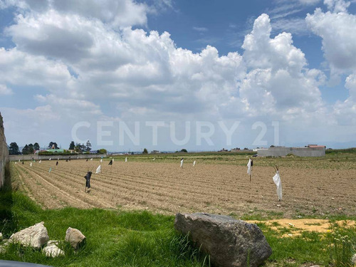 Terreno En Venta En Capultitlán, Toluca, Estado De México