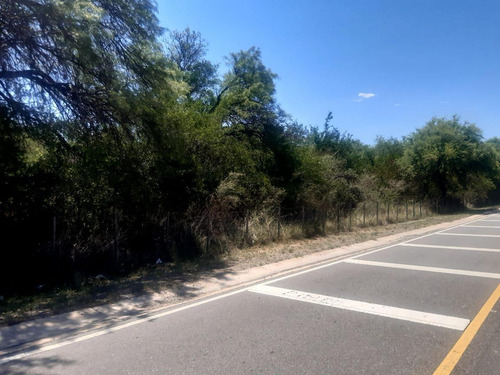 Imagen 10 de 23 de 76 Hectareas En Venta En El Corazon De Conlara, Traslasierras!!
