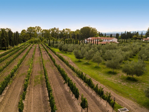 Venta De Terreno En Viñedo La Santisima Trinidad, San Miguel