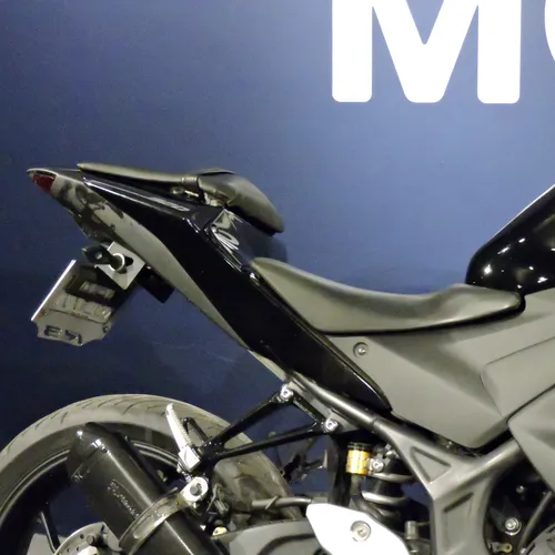 Yamaha Fzr R3 2015