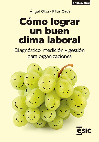 Como Lograr Un Buen Clima Laboral - Olaz Capitan, Angel Jose