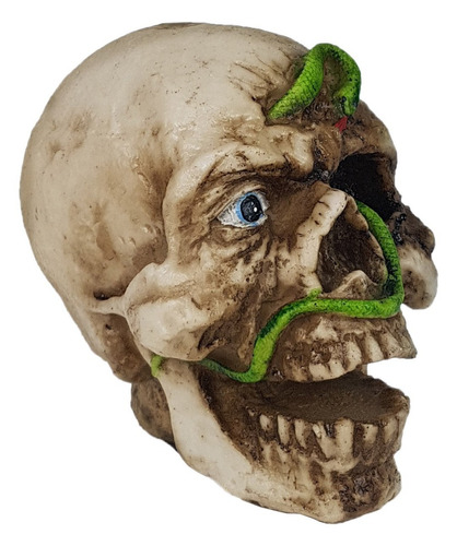 Crânio Caveira Cobra Em Resina Decorativo Hallowen Skull Cor n/a