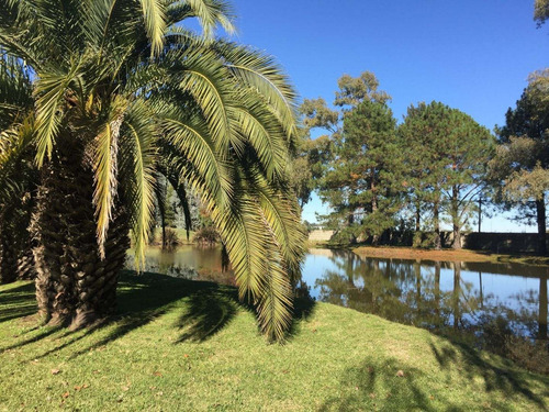 Imagen 6 de 16 de Terreno En Venta En Ezeiza