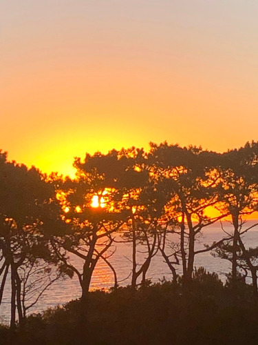 Dueño Alquila Parada Siete, Playa Mansa Punta Del Este Vista Al Mar