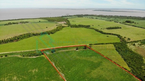 Imagen 11 de 13 de Martin Chico, Colonia - Campo Agricola Con Vista Al Rio De La Plata