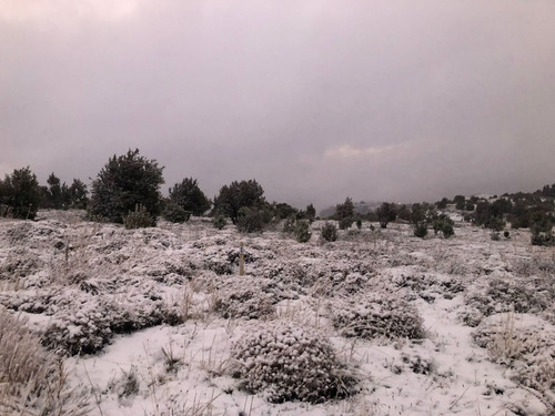 Imagen 4 de 5 de Muy Lindo Lote En Pueblo Chapelco