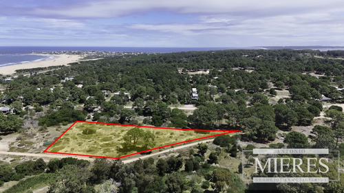 Lote De 4000mts En Arenas De Jose Ignacio (ref: Atm-7468)