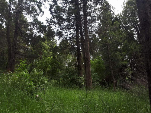 Imagen 7 de 18 de Terreno - Cerro Runge