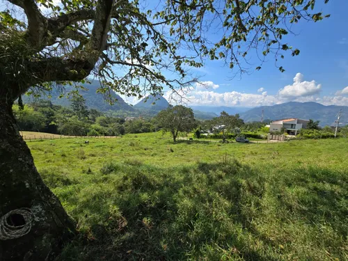 Lote En Venta En Venecia. Cod V12514