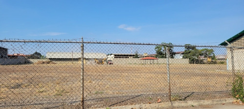 Imagen 3 de 6 de Se Alquila 17.000 M2 De Terreno Zona Industrial Barquisimeto