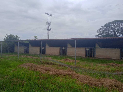Imagen 17 de 30 de En Venta Finca Avicola Y Conejera Con Fondo De Comercio Para Embutidos