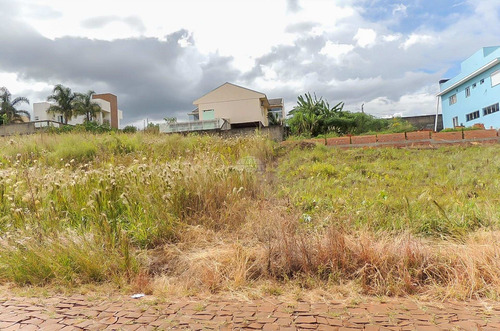 Imagem 4 de 7 de Terreno - Residencial - 926089