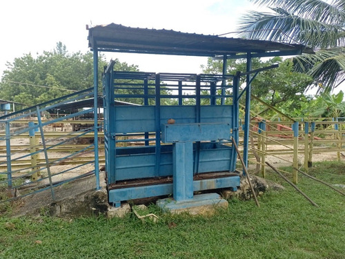 Imagen 24 de 25 de Finca En Venta En Libertador San Timoteo, Zulia