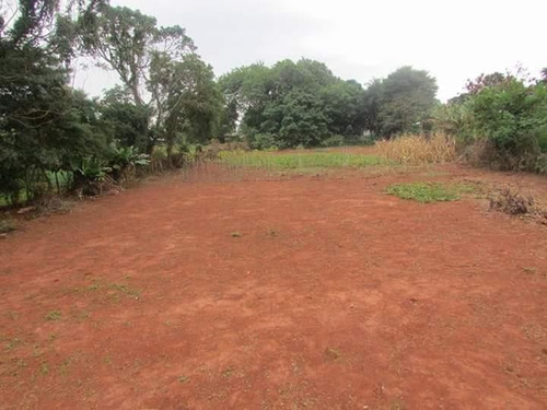 Imagem 4 de 5 de Área À Venda, 4146 M² Por R$ 990.000,00 - Jardim Tropical - Foz Do Iguaçu/pr - Ar0011