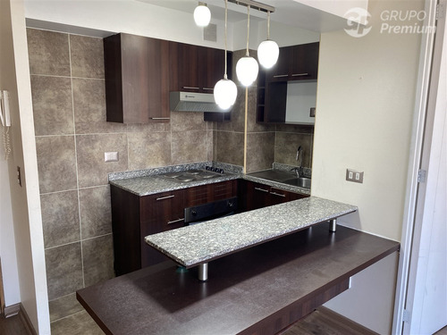 Departamento En Arriendo De 1 Dorm. En Recoleta